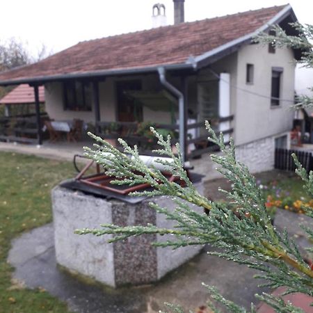 Galerija Jovanovic Topola Екстер'єр фото