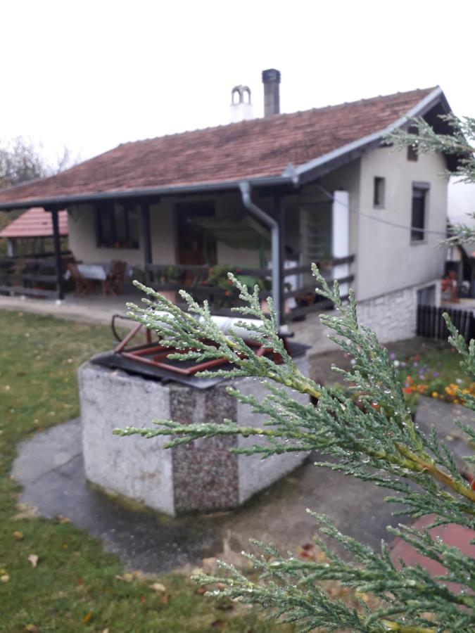 Galerija Jovanovic Topola Екстер'єр фото
